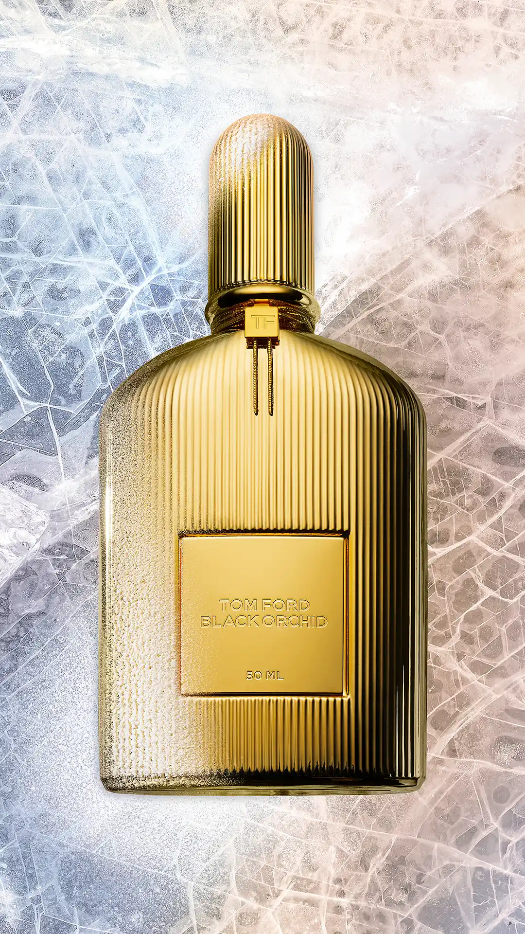 /Stories/Tom_Ford/tf_bo_1.webp